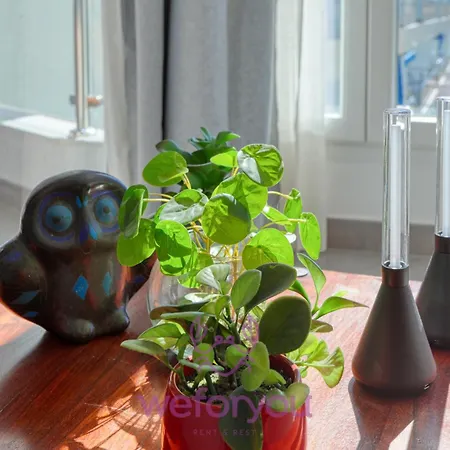 Weforyou Center Sunny & Apartamento Fuengirola