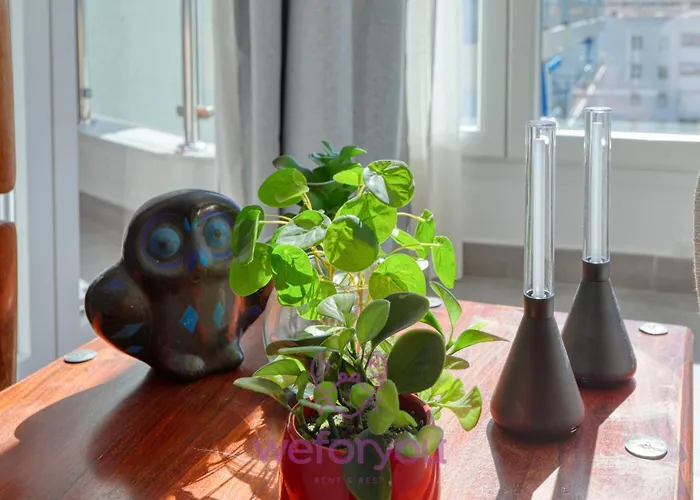 Weforyou Center Sunny & Appartement Fuengirola